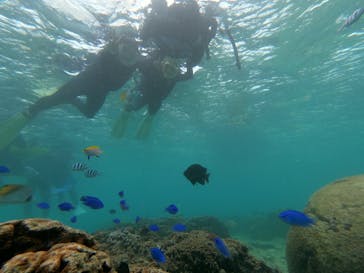 武藤潜水に投稿された画像（2020/9/21）