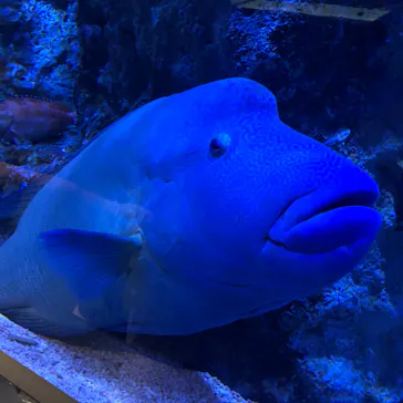 すみだ水族館に投稿された画像（2020/9/21）