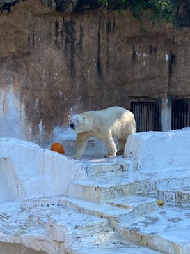 天王寺動物園に投稿された画像（2020/9/21）
