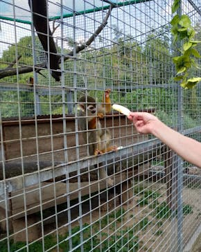 しろとり動物園に投稿された画像（2020/9/21）