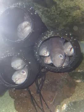 仙台うみの杜水族館に投稿された画像（2020/9/21）