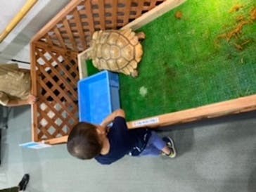 島根県立 しまね海洋館に投稿された画像（2020/9/21）