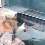 しながわ水族館に投稿された画像（2020/9/21）