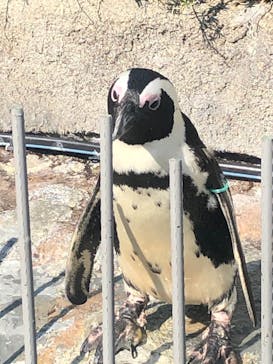 サンシャイン水族館に投稿された画像（2020/9/21）