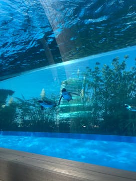 サンシャイン水族館に投稿された画像（2020/9/21）