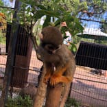 美らヤシパークオキナワ・東南植物楽園に投稿された画像（2020/9/21）