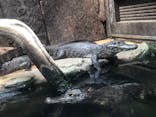 体感型動物園iZooに投稿された画像（2020/9/21）