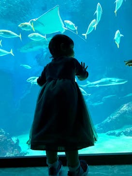 マリンワールド海の中道に投稿された画像（2020/9/21）