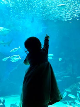 マリンワールド海の中道に投稿された画像（2020/9/21）