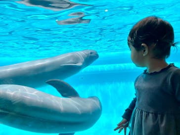 マリンワールド海の中道に投稿された画像（2020/9/21）