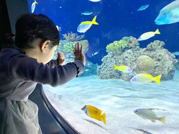 マリンワールド海の中道に投稿された画像（2020/9/21）