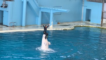 横浜・八景島シーパラダイスに投稿された画像（2020/9/21）