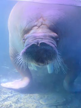 横浜・八景島シーパラダイスに投稿された画像（2020/9/21）