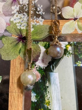 しながわ水族館に投稿された画像（2020/9/21）