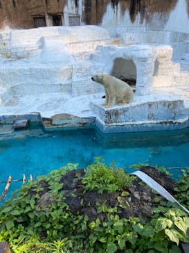 天王寺動物園に投稿された画像（2020/9/21）