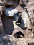 天王寺動物園に投稿された画像（2020/9/21）
