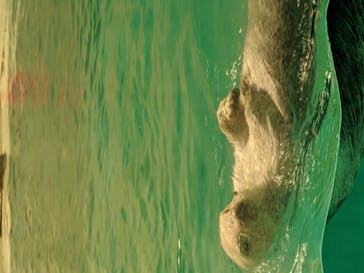 鳥羽水族館に投稿された画像（2020/9/21）