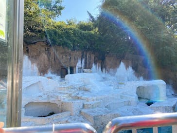 天王寺動物園に投稿された画像（2020/9/21）