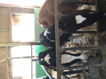 成田ゆめ牧場に投稿された画像（2020/9/21）