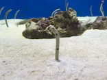 仙台うみの杜水族館に投稿された画像（2020/9/21）