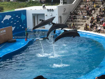 仙台うみの杜水族館に投稿された画像（2020/9/21）