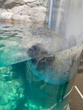 京都水族館に投稿された画像（2020/9/21）