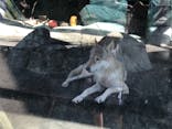 天王寺動物園に投稿された画像（2020/9/21）