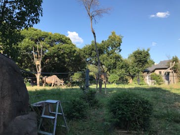 天王寺動物園に投稿された画像（2020/9/21）