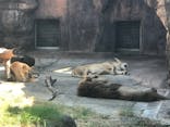 天王寺動物園に投稿された画像（2020/9/21）