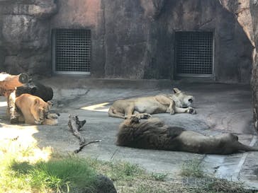 天王寺動物園に投稿された画像（2020/9/21）