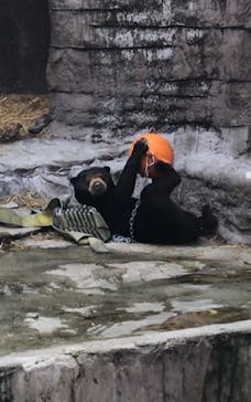 天王寺動物園に投稿された画像（2020/9/21）