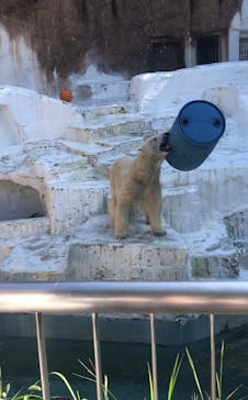 天王寺動物園に投稿された画像（2020/9/21）