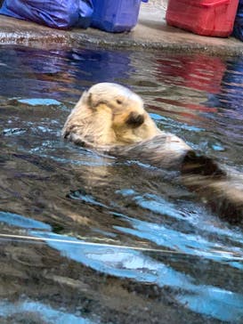 株式会社Gに投稿された画像（2020/9/19）