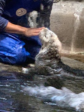 株式会社Gに投稿された画像（2020/9/19）