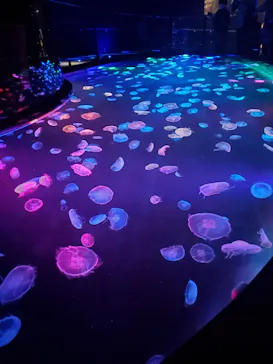 すみだ水族館に投稿された画像（2020/9/21）