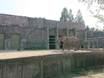 東武動物公園に投稿された画像（2020/9/21）