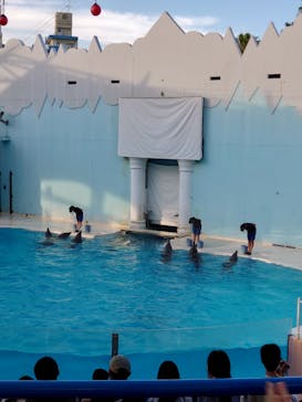 株式会社Gに投稿された画像（2020/9/21）