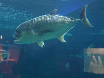 株式会社Gに投稿された画像（2020/9/21）