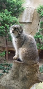 那須どうぶつ王国に投稿された画像（2020/9/21）