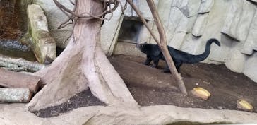 那須どうぶつ王国に投稿された画像（2020/9/21）