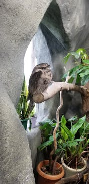 那須どうぶつ王国に投稿された画像（2020/9/21）