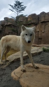 那須どうぶつ王国に投稿された画像（2020/9/21）