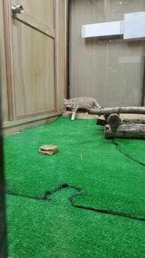 那須どうぶつ王国に投稿された画像（2020/9/21）