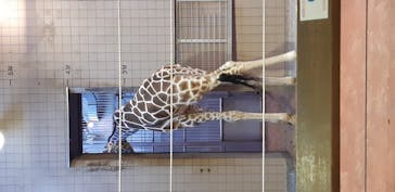 天王寺動物園に投稿された画像（2020/9/21）