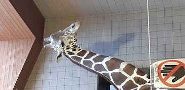 天王寺動物園に投稿された画像（2020/9/21）