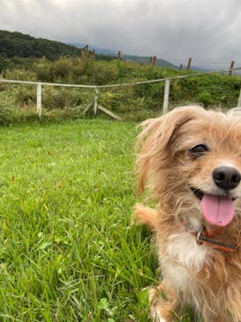 那須どうぶつ王国に投稿された画像（2020/9/21）