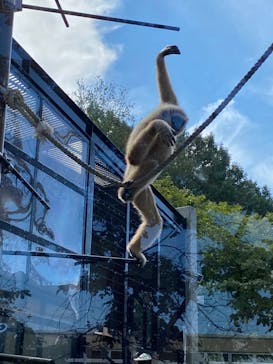 旭川市旭山動物園に投稿された画像（2020/9/21）