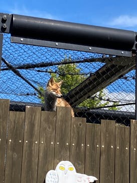 旭川市旭山動物園に投稿された画像（2020/9/21）