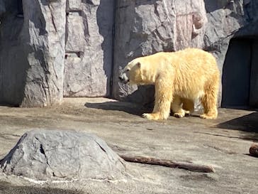 旭川市旭山動物園に投稿された画像（2020/9/21）