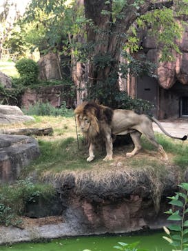 天王寺動物園に投稿された画像（2020/9/21）